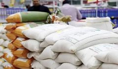 توزیع ۶۰۰ تن برنج وارداتی برای تنظیم بازار