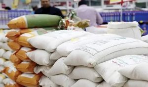توزیع ۶۰۰ تن برنج وارداتی برای تنظیم بازار