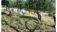 منابع طبیعی تنکابن اراضی ملی را از دست متجاوزان بازپس گرفتند