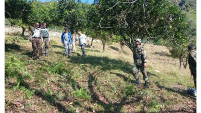 منابع طبیعی تنکابن اراضی ملی را از دست متجاوزان بازپس گرفتند