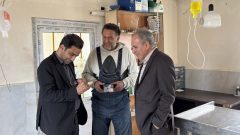 مدیریت سگ‌های بلاصاحب با کمک دامپزشکی