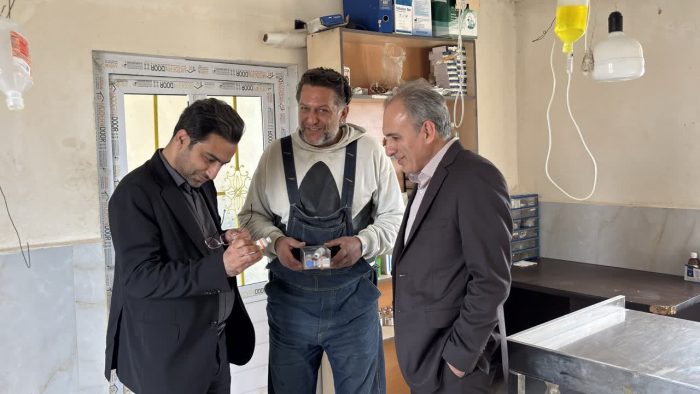 مدیریت سگ‌های بلاصاحب با کمک دامپزشکی